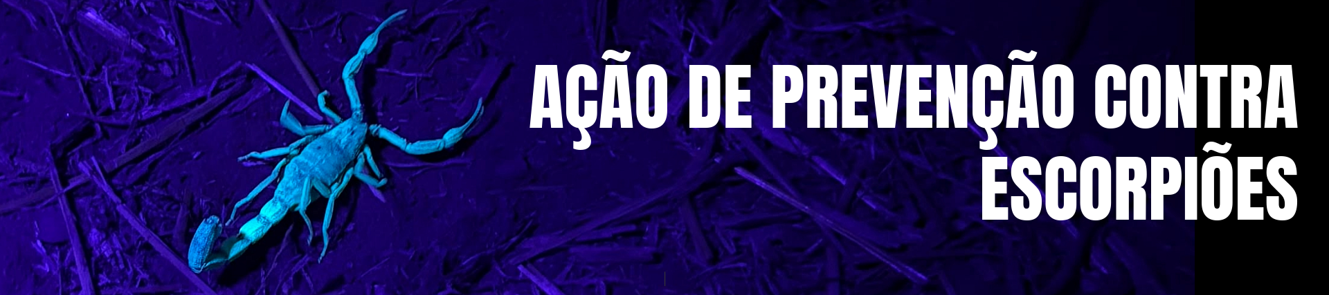 Imagem Slide: bcc071b12d097dae0949d44503981153.png