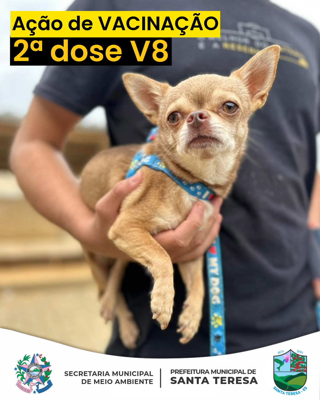 Prefeitura de Santa Teresa realiza aplicação da 2ª dose da vacina canina V8 em Várzea Alegre