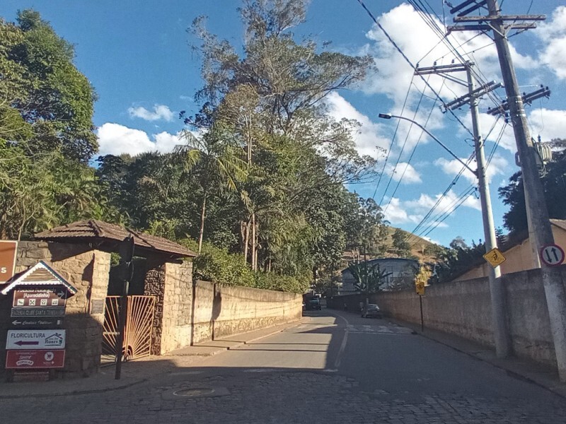 Poda de árvores interrompe trânsito próximo ao Museu nesta quinta (29)