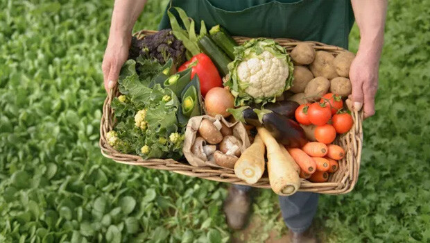 Parceria incentiva a produção de orgânicos e agroecológicos 
